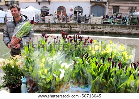 MILAN, ITALY - APRIL 11: Flowers seller shows black varietyof calla lily at the annual Flowers Market in the fashion and culture Navigli area April 11, 2010 in Milan, Italy.