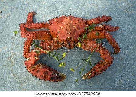 Boiled red crab. The Sea of Okhotsk.