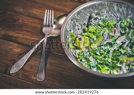 Closeup of homemade salad made of fresh salad, chives, parsley, greek yogurt, radish, salt, pepper and red onion