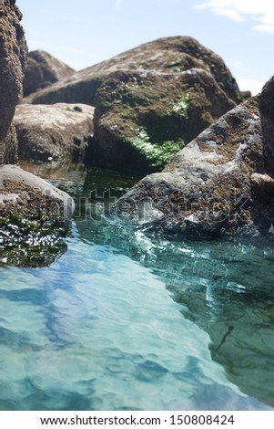 rock pool with barnacles on rocks