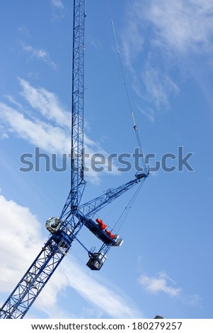 blue crane against a blue summer sky