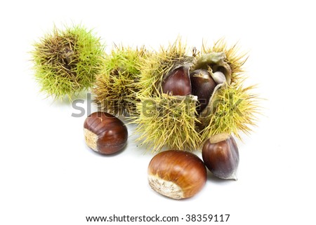chestnuts in and out of there cases