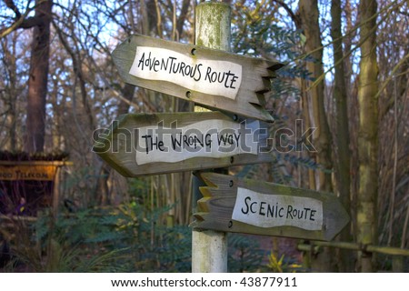 signs depicting choices in direction in the woods