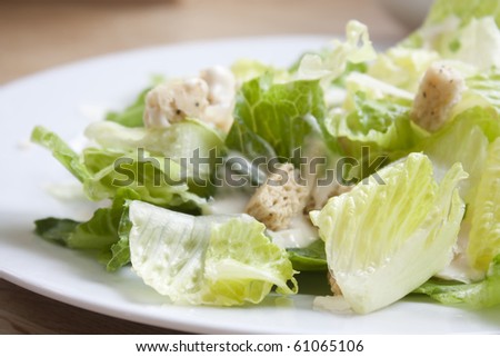 caesar salad sat on a kitchen table indoors with natural lighting
