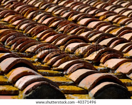 Close-up view of an old tile roof in Cortona. Selective focus.