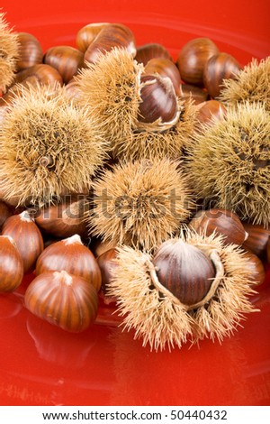 Sweet chestnuts and chestnut husks on a red plate. Shallow DOF.