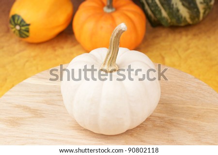 White pumpkin on a wooden cutting board and assorted pumpkins out of focus in the background. Selective focus, shallow DOF