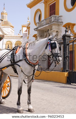 White horse drawing a carriage in front of the Plaza de Toros in Seville