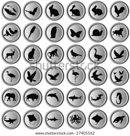 Metallic Buttons With Animal Symbols Stock Vector 27405562 ... Metallic Buttons With Animal Symbols Stock Vector 27405562 ...