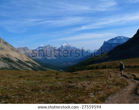 Hiker on path in the Canadian Rockies
