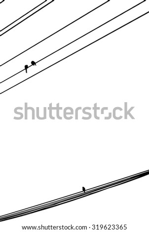 Isolate envy bird seeing couple bird on wire with white background