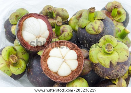 Mangosteen summer fruit cross section showing the thick purple skin and white flesh of the queen of fruits  in plastic bag
