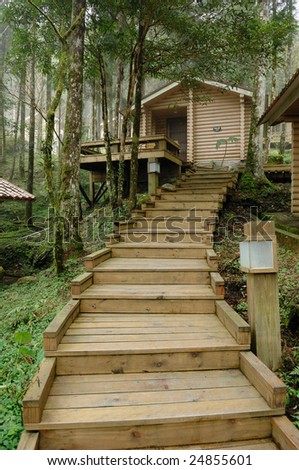 Wooden Villa in the forest