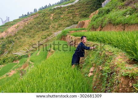 Sapa, Vietnam - July 10, 2015: H\'mong man working in Terraced rice field