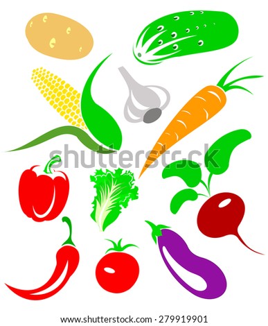 set of colored pictures of different vegetables