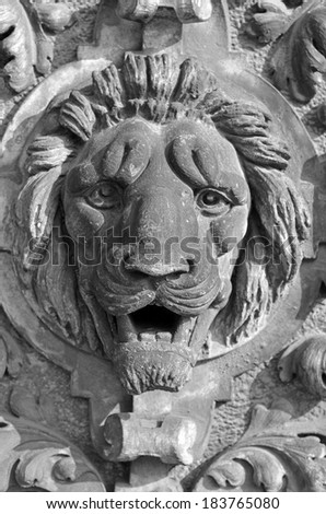 Lion head on a wall