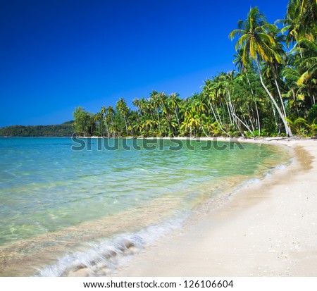 Summer nature scene. Tropical beach with sea wave on the sand and palm trees