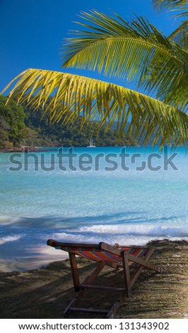 Chair on palm tree shadow on luxury beach