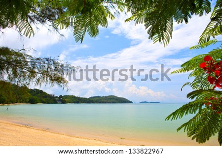 Tropical plants frame and beach