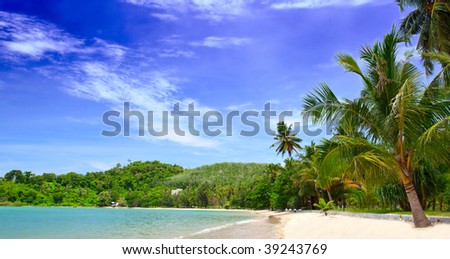 Tropical paradise beach - palm tree, sand for game child, silence for family, sea for swimming