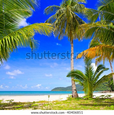 Glass children area on the tropical nature beach with palms tree near sea water with sky background