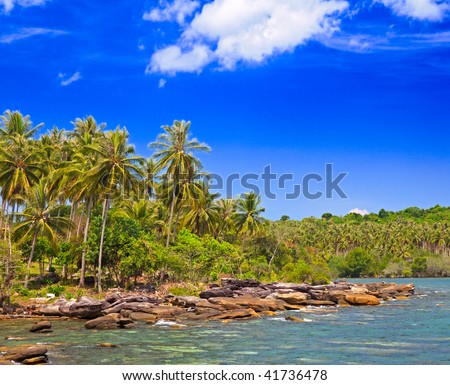 Stones in sea water on the tropical beach in family hotel with sky background, palm tree