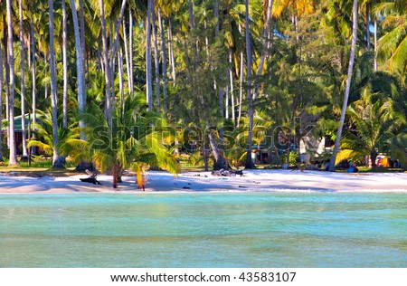 Palm trees, sea, beach, sky and sand in summer season