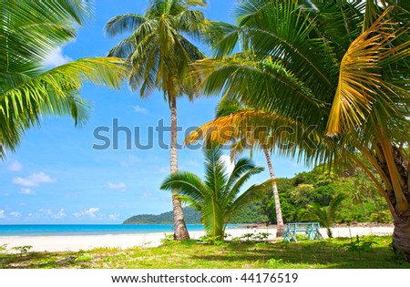 Palm tree shadow on the glade on white sand beach