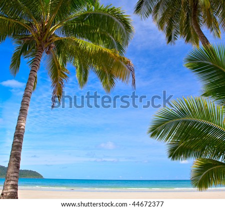 Tropical Beach with coconut palm trees and turquoise ocean
