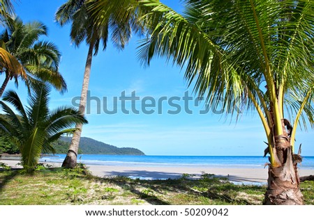 stock photo : Exotic scene on sunny beach with palm trees, sea and blue sky