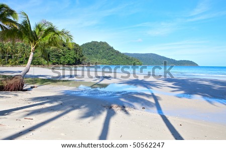 Palm tree shadow on the sand on beautiful beach. Summer holidays at luxury hotel.