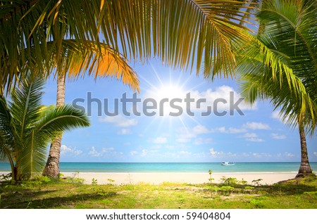 Sun in blue sky and palm trees gateway to white sand beach