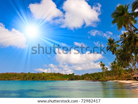 Sea water and palm trees on coastline under beautiful sky with sun and clouds