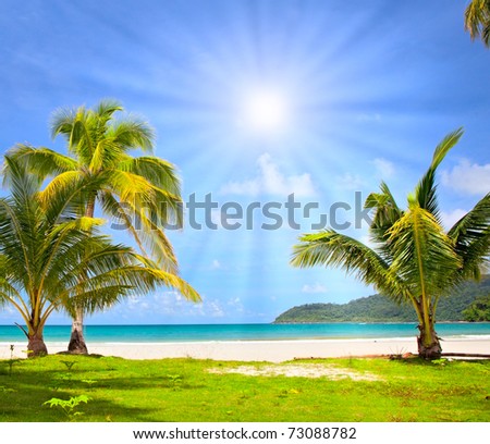 Sun over idyllic dream beach wit palm trees on the grass and white sand