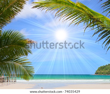 Tropical beach with beautiful palm trees on the sand and sun in blue sky. Summer nature scene.