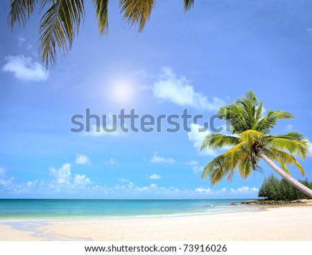 Dream beach with palm trees and white sand. Luxury vacations in summer nature.