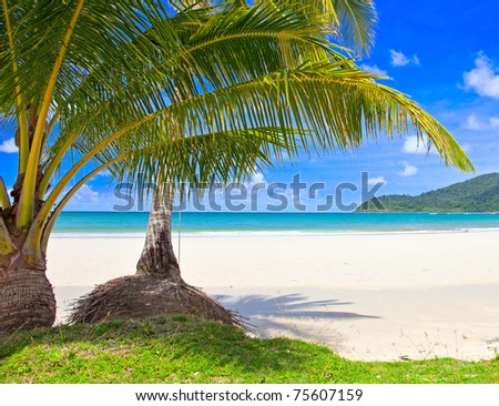 Dream beach with palm trees on the sand
