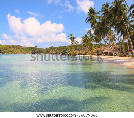 Palm trees shadows on clear blue sea water under blue sky with clouds