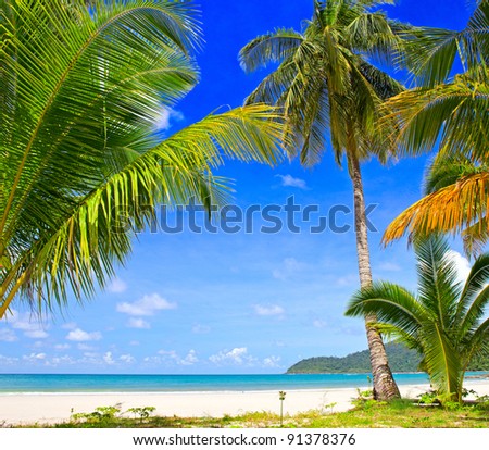 Summer beach - palm tree, mountain on remote island, white sand, sea water, tropical nature in family hotel