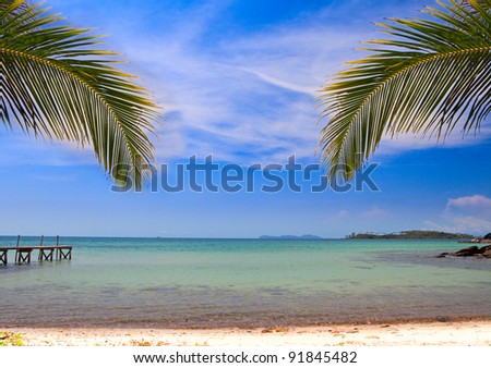 Summer beach - palm tree, mountain on remote island, white sand, sea water, tropical nature in family hotel