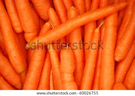 carrot - a close up of the fresh young