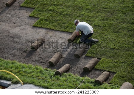 CIRCA SEPTEMBER 2014 - BERLIN: worker/ gardenere who rolls out lawn in a public park in Berlin.