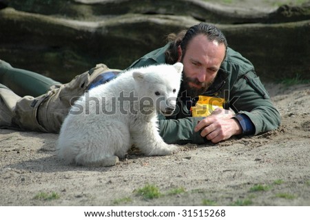 BERLIN, MARCH 23: polar bear baby Knut with Thomas Doerflein at the day of his official presentation to the public in Berlin on March 23, 2007