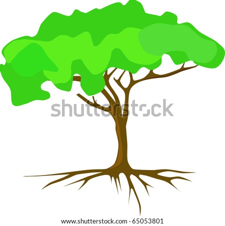 Tree With Roots Isolated On White Stock Vector Illustration 65053801