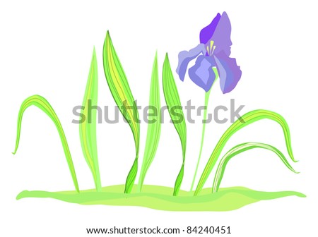 stock vector Iris flower with green grass