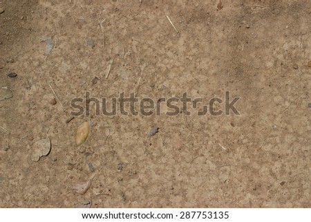 Brown ground surface. Close up natural background.