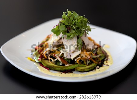 Thinly Sliced Chicken and Avocado Salad with Microgreens and Julienned Vegetables on a Square White Plate with Black Background