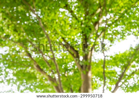 Abstract Background : Blur Green Trees Leaves With Small Circle Bokeh
