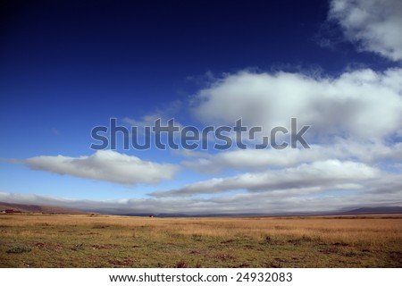Green grass and cloud