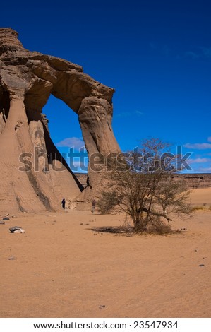 erosion by wind. stock photo : Wind erosion,